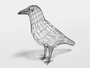 low poly cartoon crow 3D Model