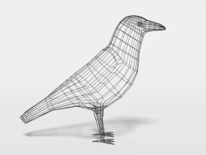 low poly cartoon crow 3D Model