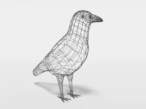 low poly cartoon crow 3D Model