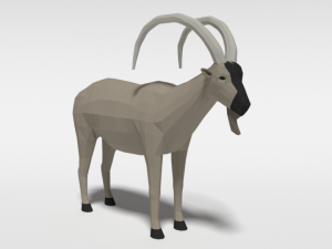 low poly cartoon cretan wild goat kri-kri 3D 模型
