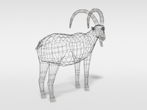 low poly cartoon cretan wild goat kri-kri 3D 模型
