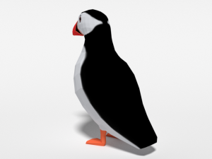 low poly cartoon puffin Modelo 3D