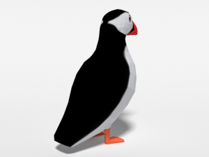 low poly cartoon puffin Modelo 3D