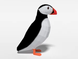 low poly cartoon puffin 3D Model