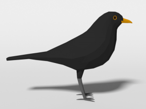 low poly cartoon blackbird 3D Model