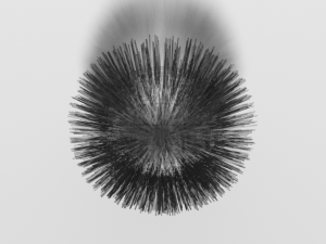 cartoon sea urchin free 3D Model
