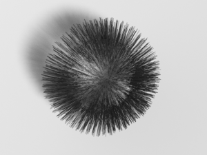 cartoon sea urchin free 3D Model
