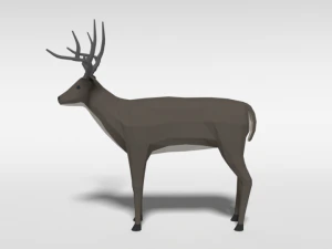 low poly cartoon white-tailed deer 3D Model