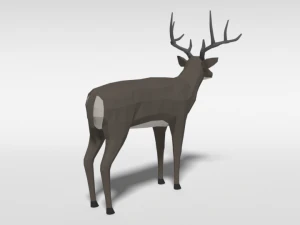 low poly cartoon white-tailed deer 3D Model