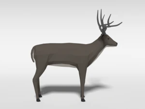 low poly cartoon white-tailed deer 3D Model