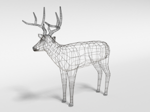 low poly cartoon white-tailed deer Modello 3D
