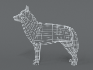 low poly cartoon husky 3D 模型