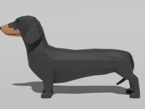 low poly cartoon dachshund dog 3D Model