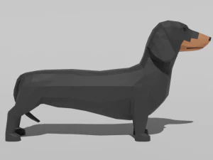 low poly cartoon dachshund dog 3D Model
