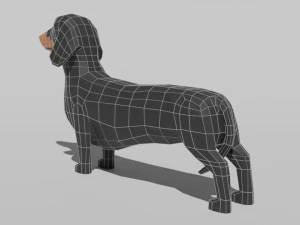 low poly cartoon dachshund dog 3D Model