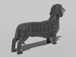 low poly cartoon dachshund dog 3D Model