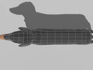 low poly cartoon dachshund dog 3D Model