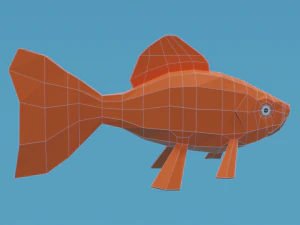 low poly cartoon goldfish 3D Model