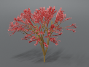 low poly cartoon tree Modelo 3D