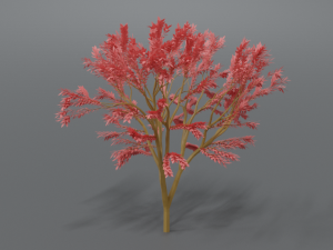 low poly cartoon tree Modelo 3D