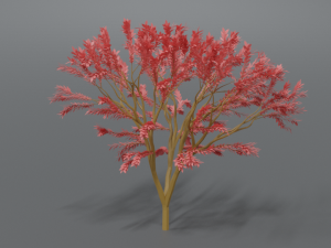 low poly cartoon tree Modelo 3D