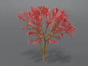 low poly cartoon tree Modelo 3D