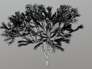 low poly cartoon tree Modelo 3D
