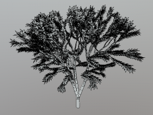 low poly cartoon tree Modelo 3D