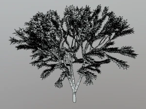 low poly cartoon tree 3D Model