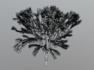 low poly cartoon tree Modelo 3D
