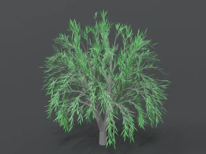 low poly cartoon tree 3D Model
