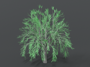 low poly cartoon tree Modelo 3D