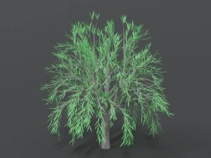 low poly cartoon tree 3D Model