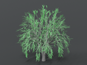 low poly cartoon tree Modelo 3D