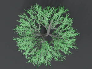 low poly cartoon tree 3D Model