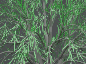 low poly cartoon tree 3D Model