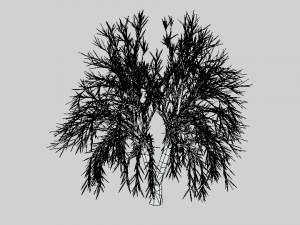 low poly cartoon tree Modelo 3D