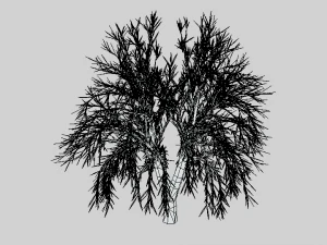 low poly cartoon tree 3D Model