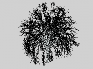 low poly cartoon tree Modelo 3D