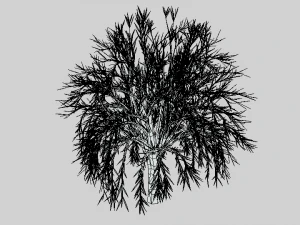 low poly cartoon tree 3D Model