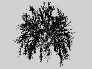 low poly cartoon tree Modelo 3D