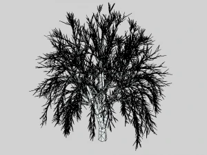 low poly cartoon tree 3D Model