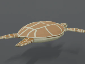 low poly cartoon loggerhead sea turtle 3D Model