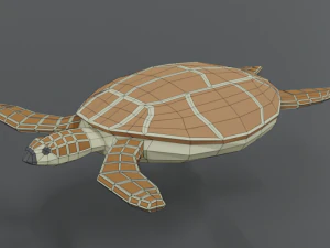 low poly cartoon loggerhead sea turtle 3D Model