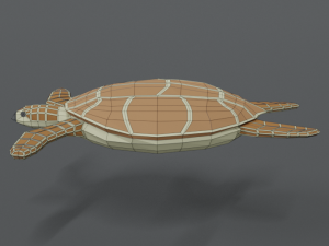 low poly cartoon loggerhead sea turtle 3D Model