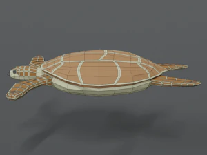 low poly cartoon loggerhead sea turtle 3D Model