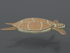 low poly cartoon loggerhead sea turtle 3D Model