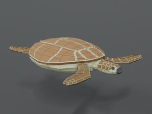 low poly cartoon loggerhead sea turtle 3D Model