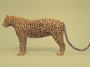 low poly african predators 3D Model