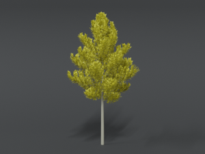 cartoon style tree 3Dモデル
